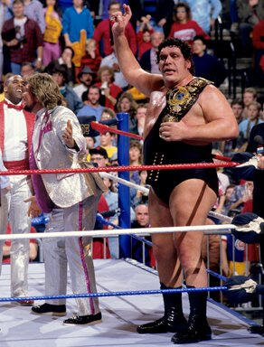 Andre The Giant won the WWE Championship but held it only briefly before being stripped of it in a storyline