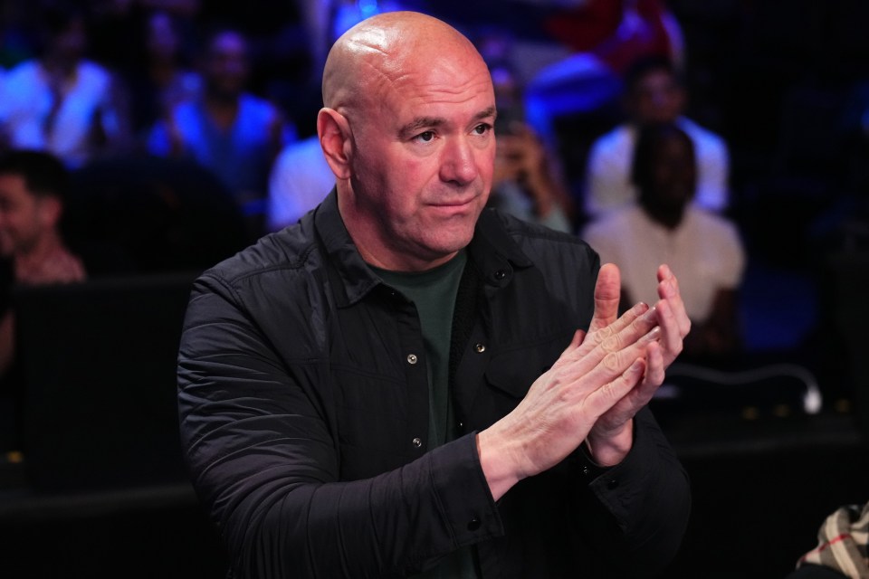 UFC boss Dana White has never seen eye to eye with the Paul brothers