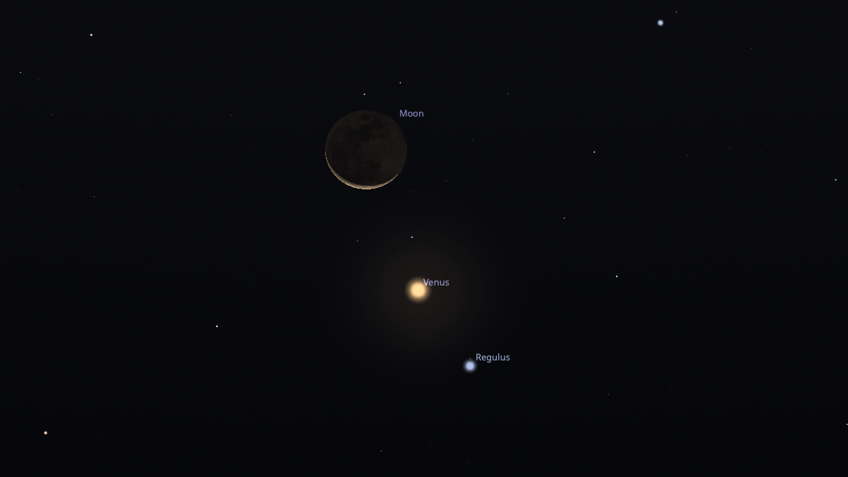 night sky graphic showing a very thin crescent moon with venus to the lower right and regulus further to the lower right.