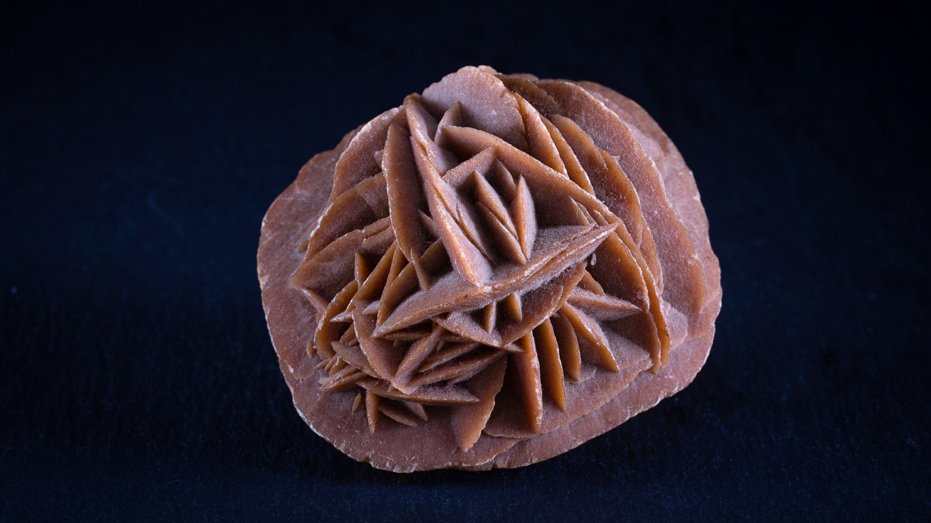 a pinkish-brown rock resembling a rose