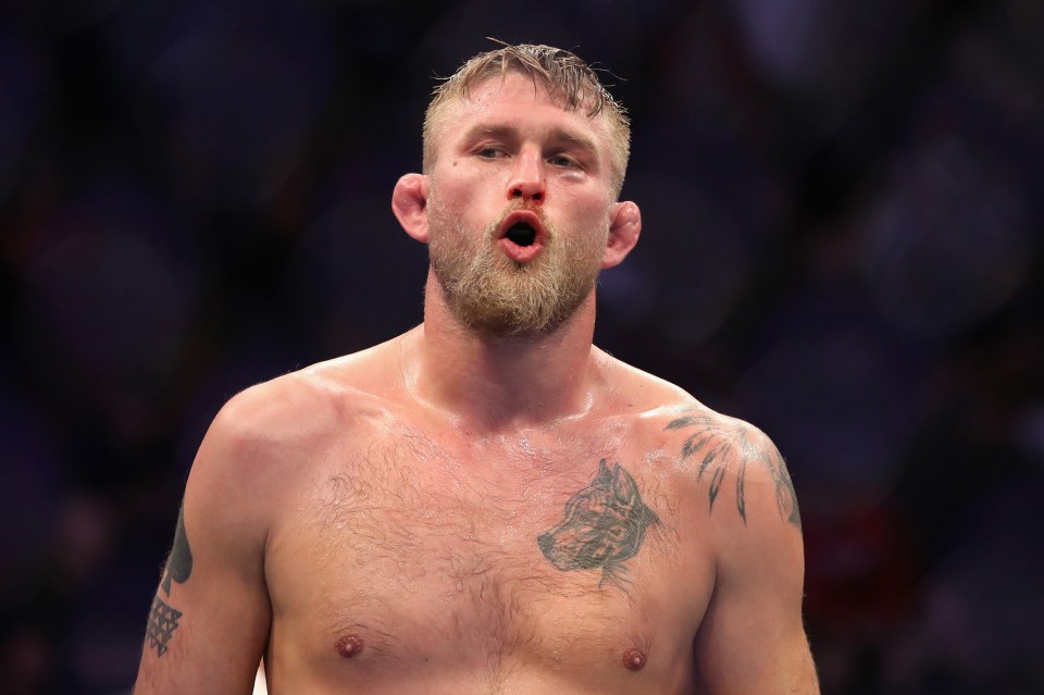 Alexander Gustafsson of Sweden after a UFC light heavyweight title bout.