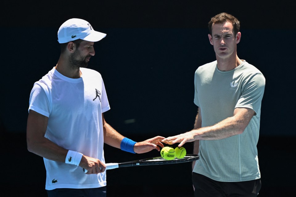 Murray is currently Djokovic's coach after his retirement