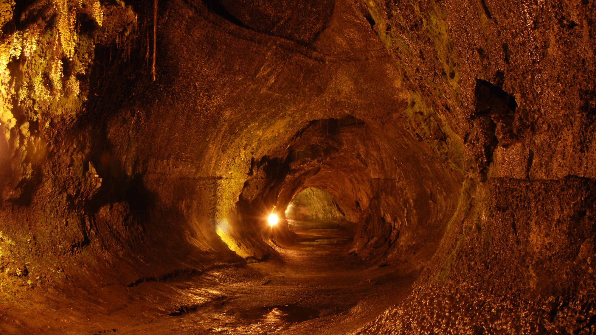 Illuminated interior of Nāhuku (Thurston Lava Tube) in Hawaiʻi Volcanoes National Park, showcasing its smooth, curving walls formed by ancient lava flows. Warm, golden lighting highlights the tunnel’s textured rock surfaces and hanging tree roots, creating a dramatic underground scene.