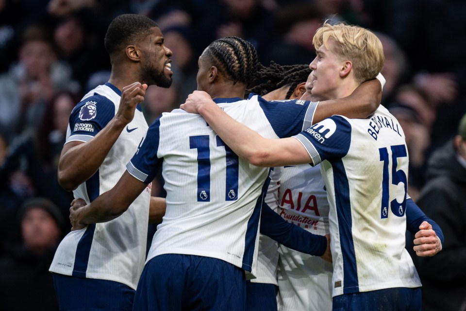 Tottenham claimed their first win at home in the Premier League since November