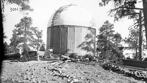 A black and white image of a dome in the forest.