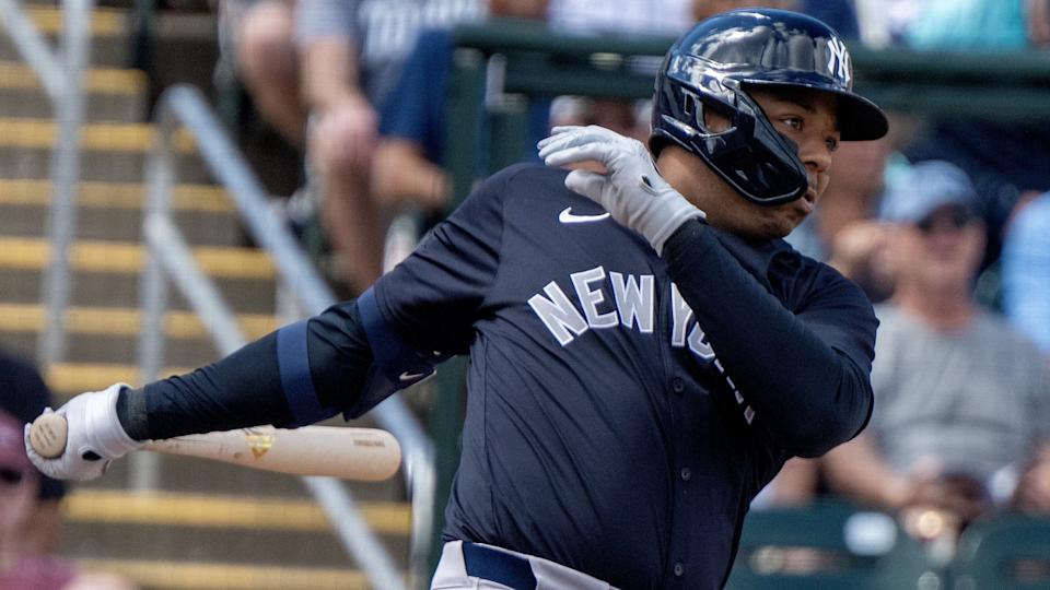 Feb 25, 2025; Fort Myers, Florida, USA; New York Yankees left fielder Dominic Smith (22) bats against the Minnesota Twins in the first inning at Lee Health Sports Complex.