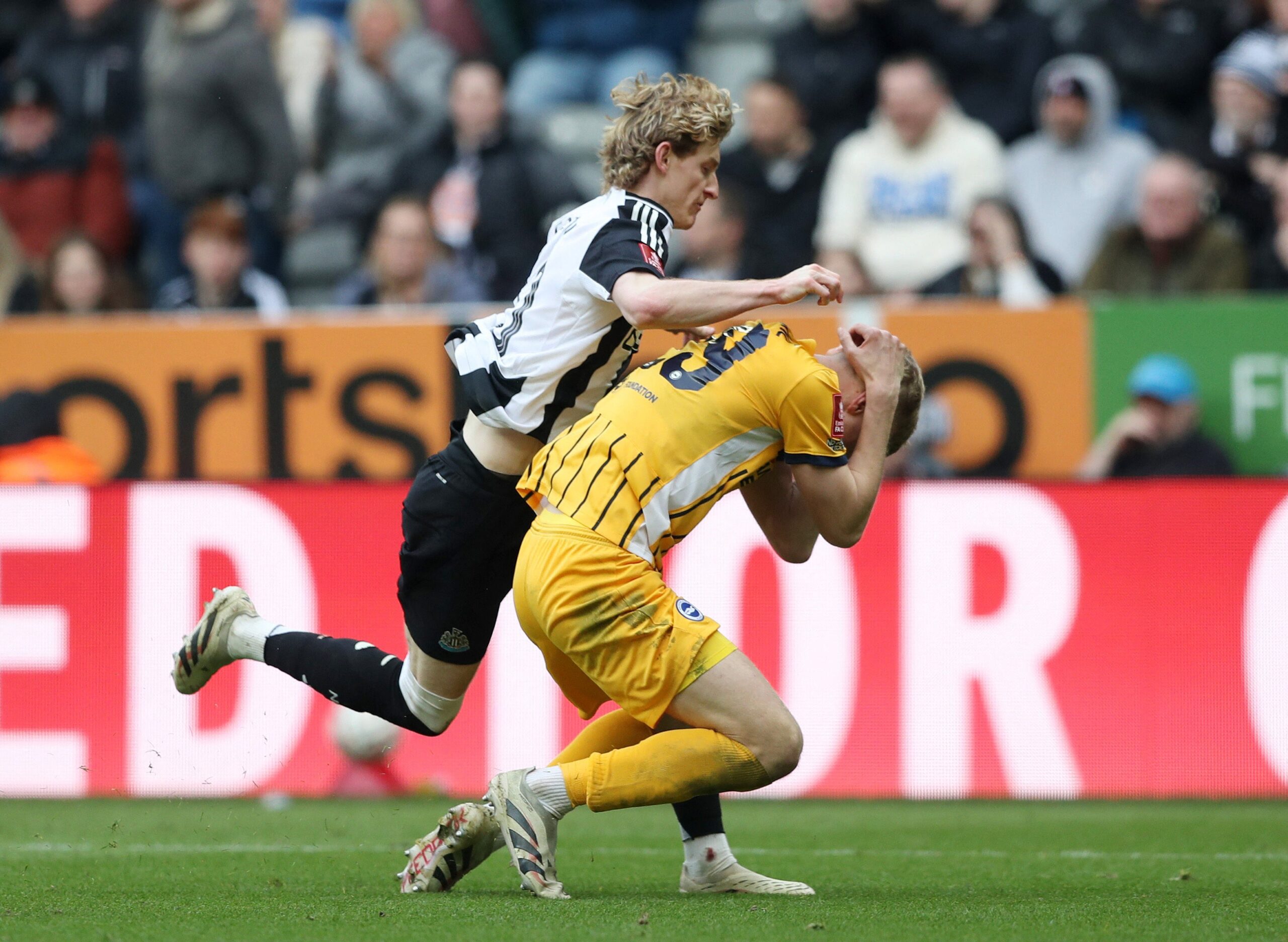 Anthony Gordon was sent off and, barring a successful appeal, looks set to miss the Carabao Cup final