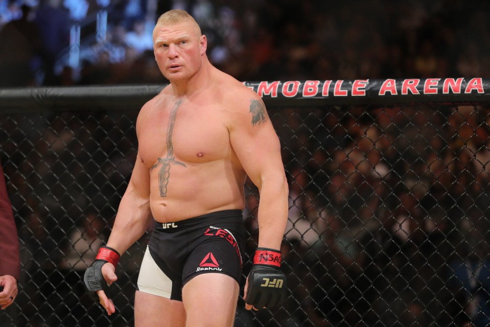 Lesnar was one of the biggest stars in the UFC in his Brief stay before returning to WWE