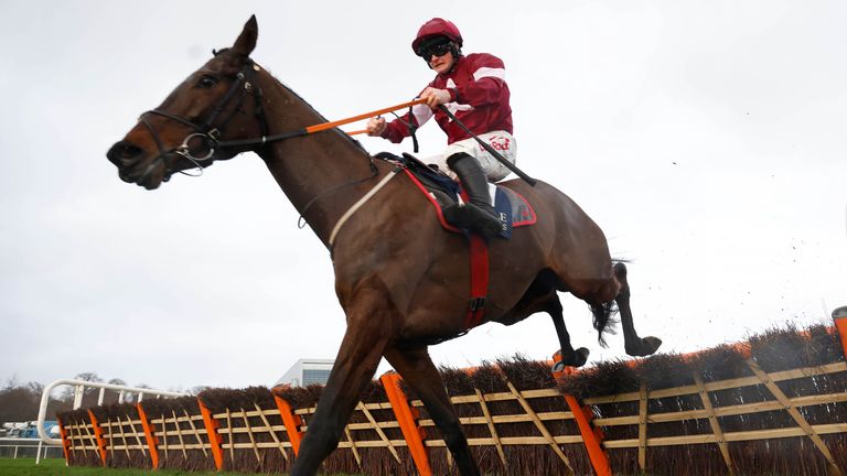 Brighterdaysahead goes for the Champion Hurdle