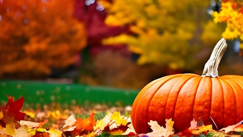 Cognitive Computing: Decoding Human-Machine Collaboration For Innovation