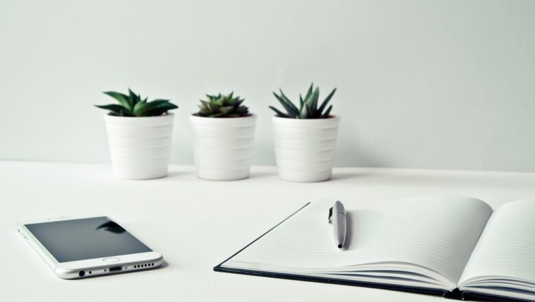 Tech Ecosystems: Roots, Resilience, And Ripples